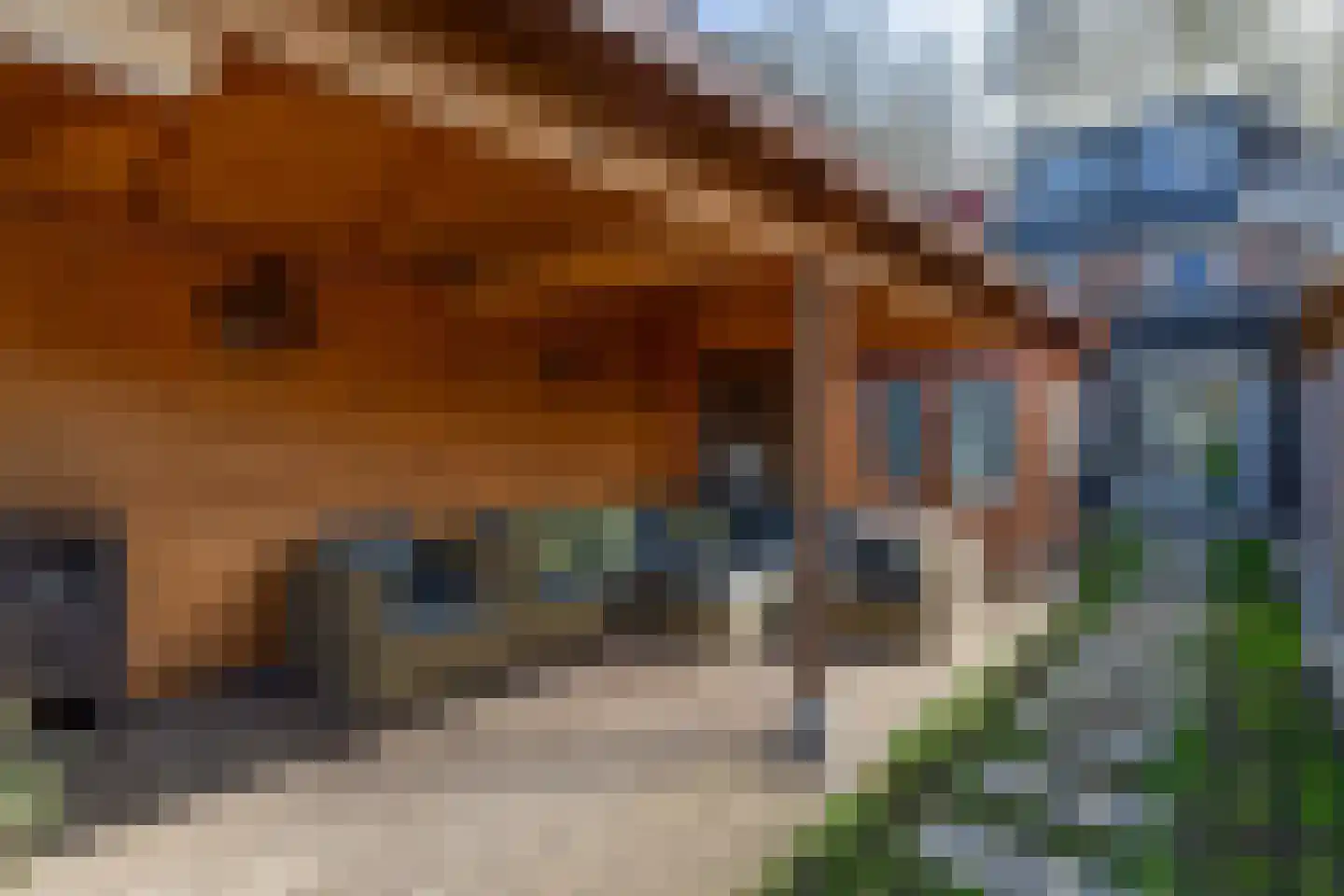 Koninginneweg 204 Rotterdam thumbnail 19