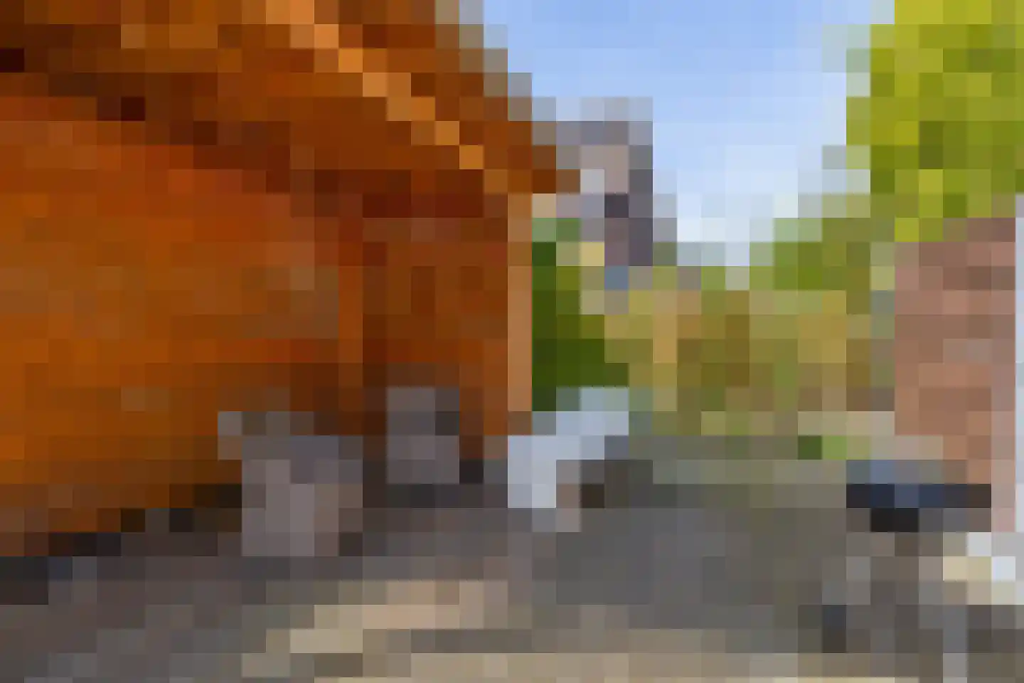 Koninginneweg 204 Rotterdam thumbnail 23