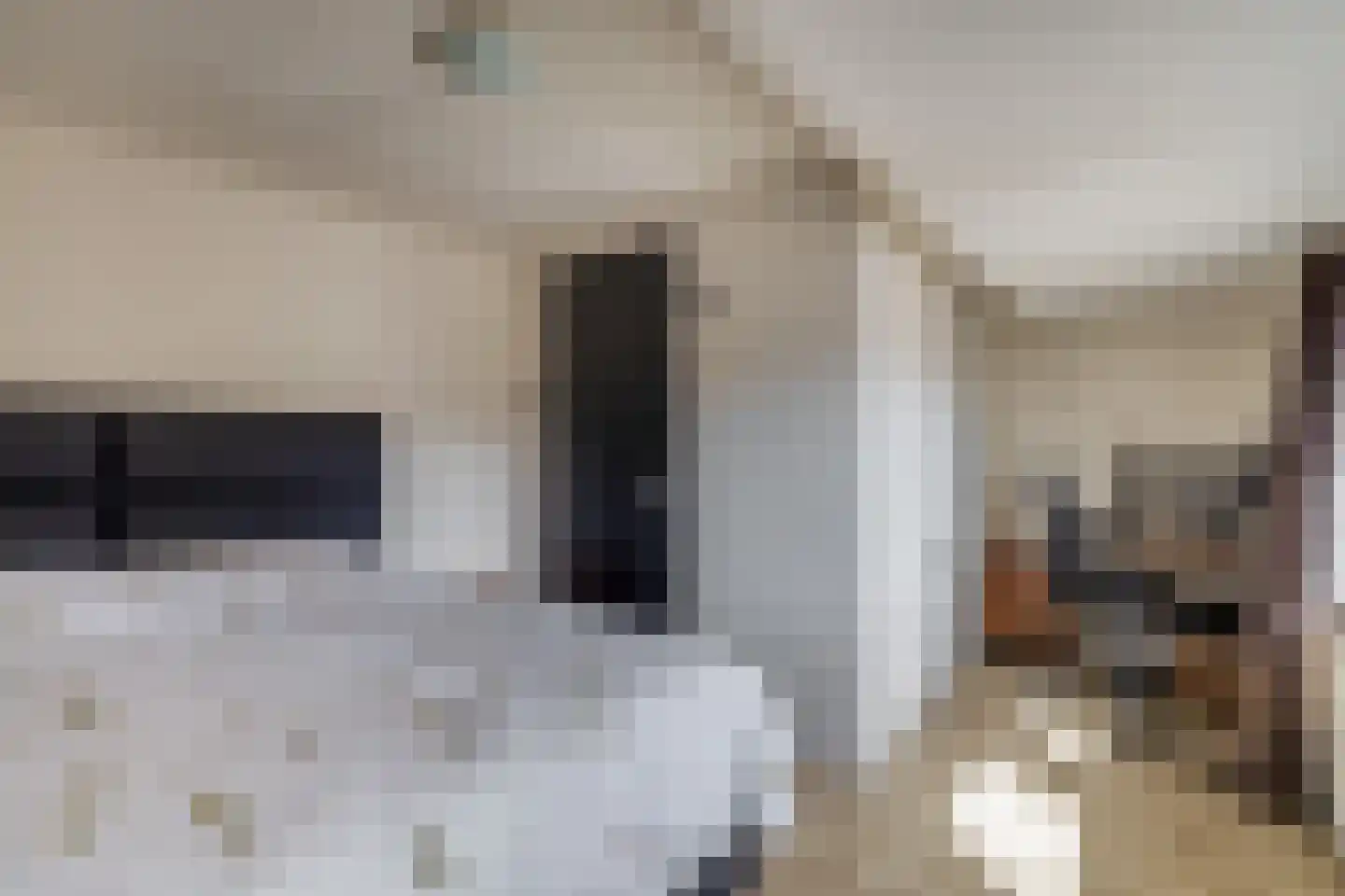 Koninginneweg 204 Rotterdam thumbnail 31