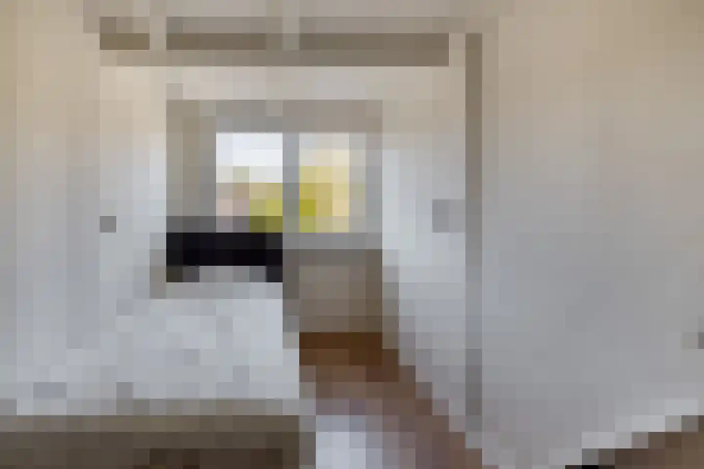 Koninginneweg 204 Rotterdam thumbnail 33