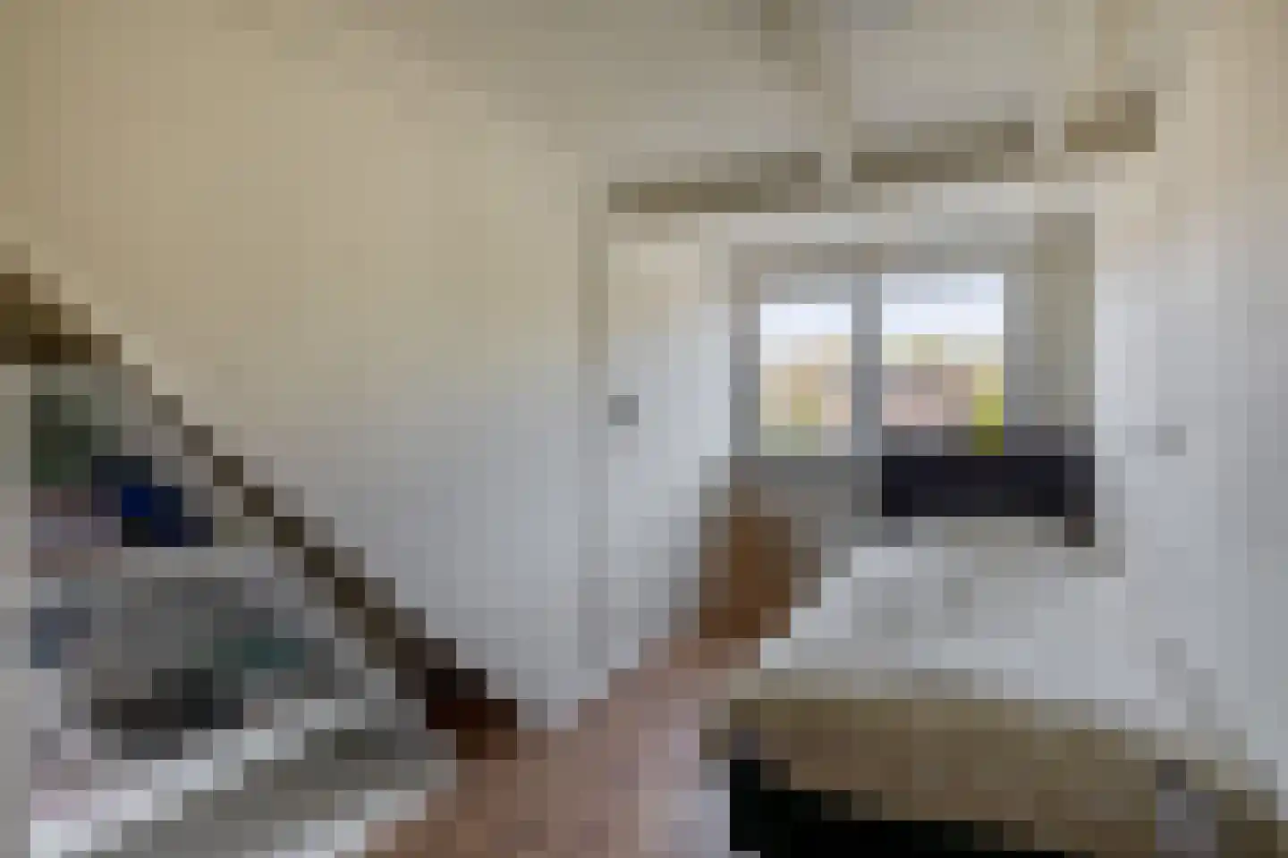 Koninginneweg 204 Rotterdam thumbnail 34