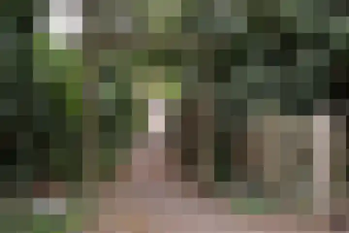 Koninginneweg 21 Hilversum thumbnail 17