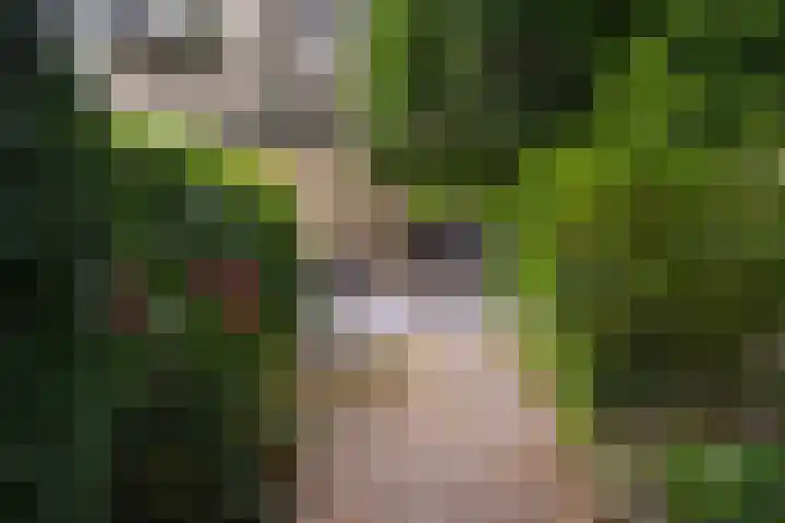 Koninginneweg 21 Hilversum thumbnail 18