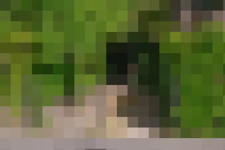 Koninginneweg 21 Hilversum thumbnail 23