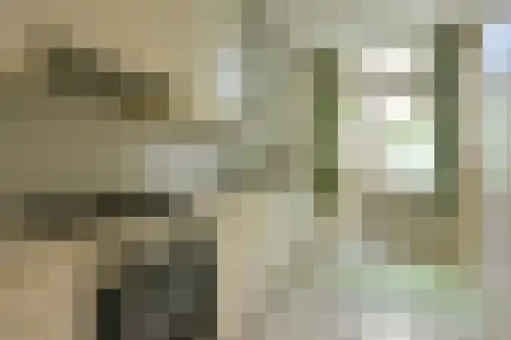 Koninginneweg 21 Hilversum thumbnail 7