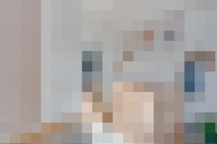 Koninginneweg 211 D Amsterdam thumbnail 25