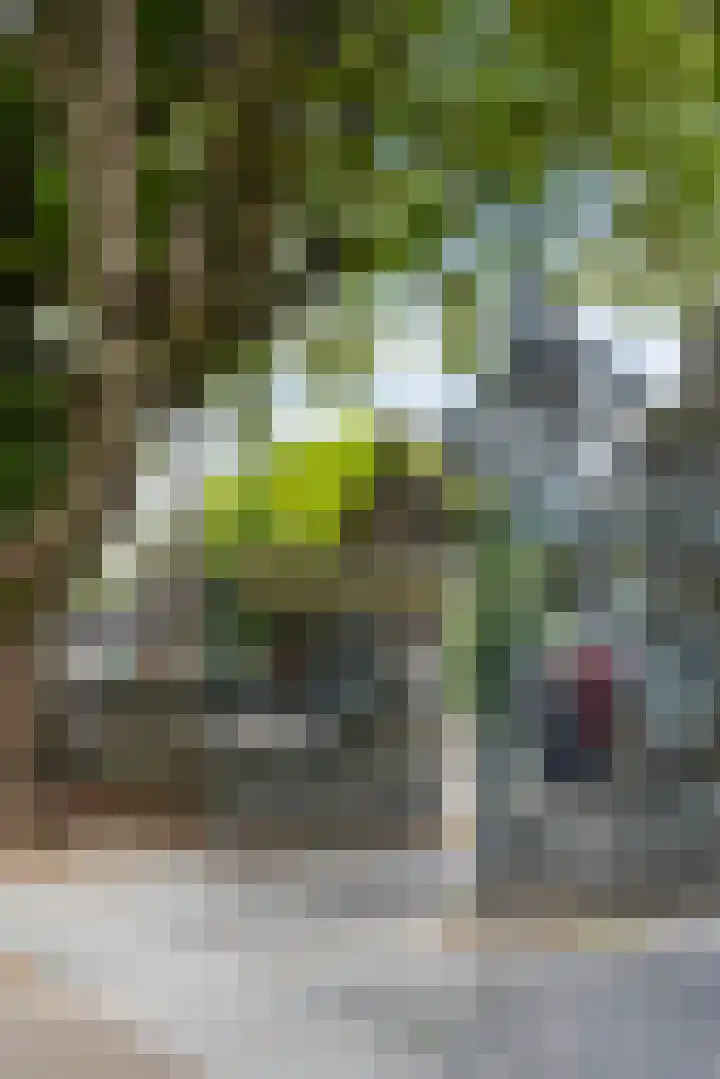 Koninginneweg 211 D Amsterdam thumbnail 39