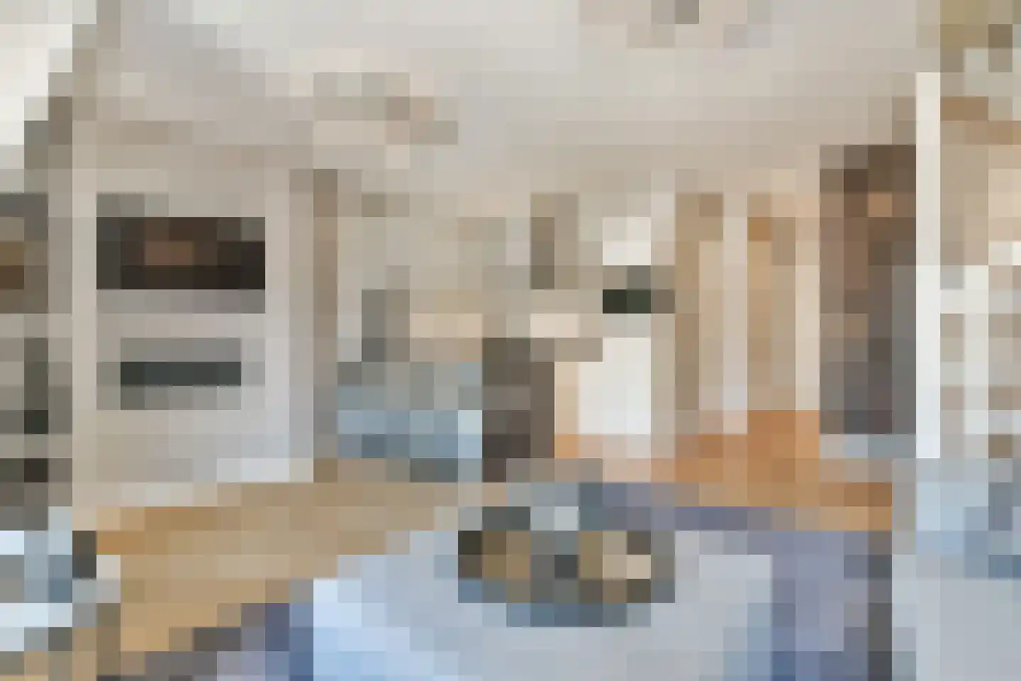 Koninginneweg 215 3 Amsterdam thumbnail 12