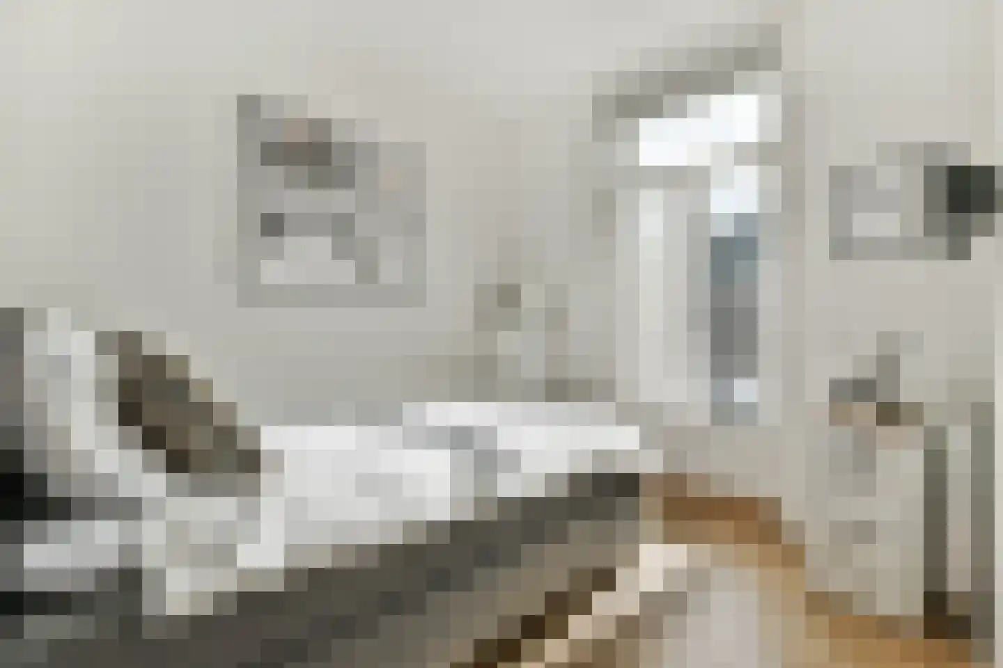 Koninginneweg 215 3 Amsterdam thumbnail 15