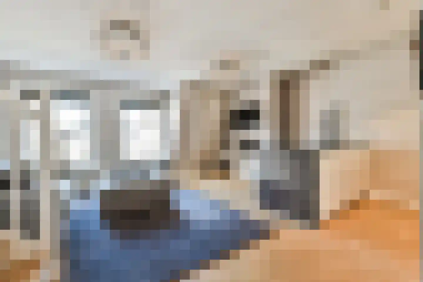 Koninginneweg 215 3 Amsterdam thumbnail 6