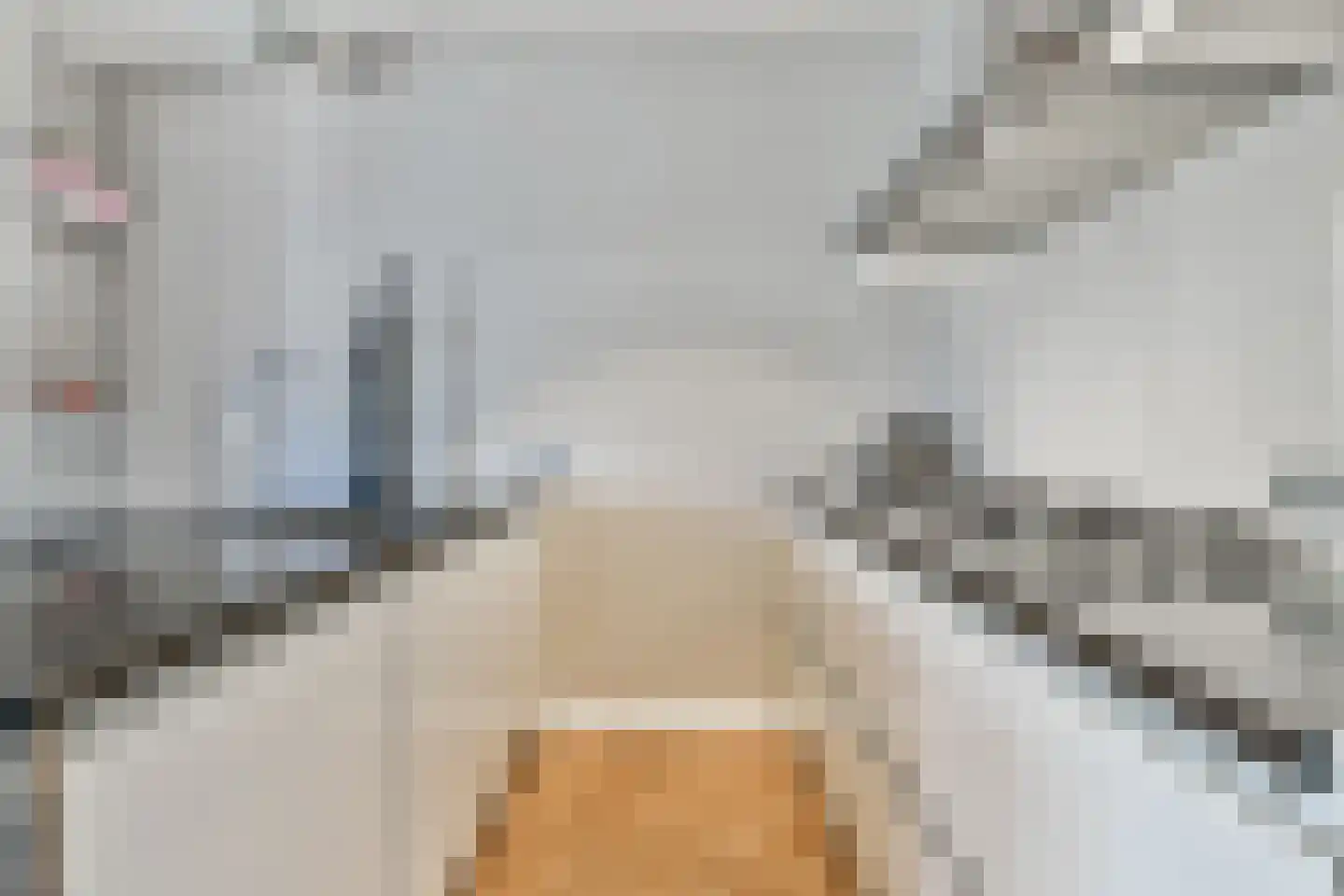 Koninginneweg 215 3 Amsterdam thumbnail 7