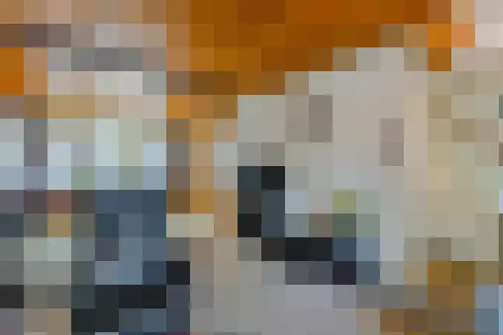 Koninginneweg 22 Kortenhoef thumbnail 13