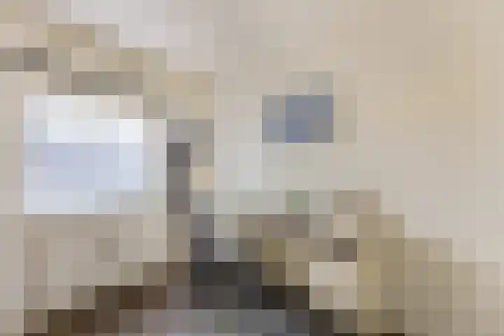 Koninginneweg 22 Kortenhoef thumbnail 19