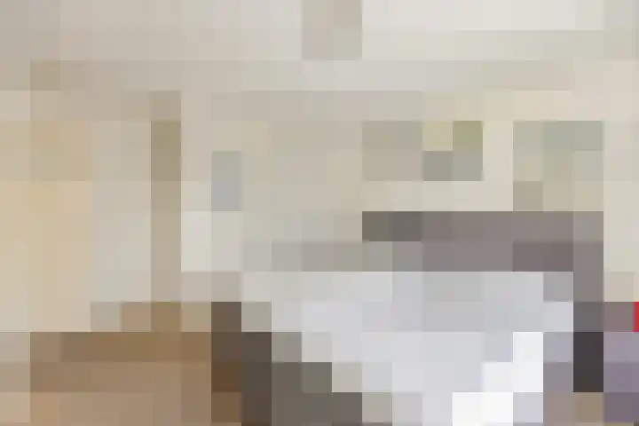 Koninginneweg 22 Kortenhoef thumbnail 25