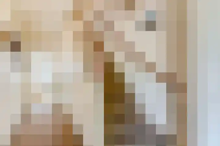 Koninginneweg 22 Kortenhoef thumbnail 6