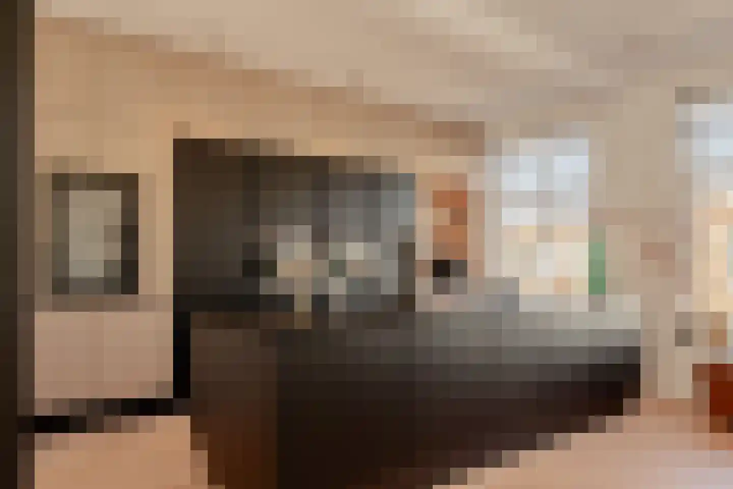 Koninginneweg 225 3 Amsterdam thumbnail 10