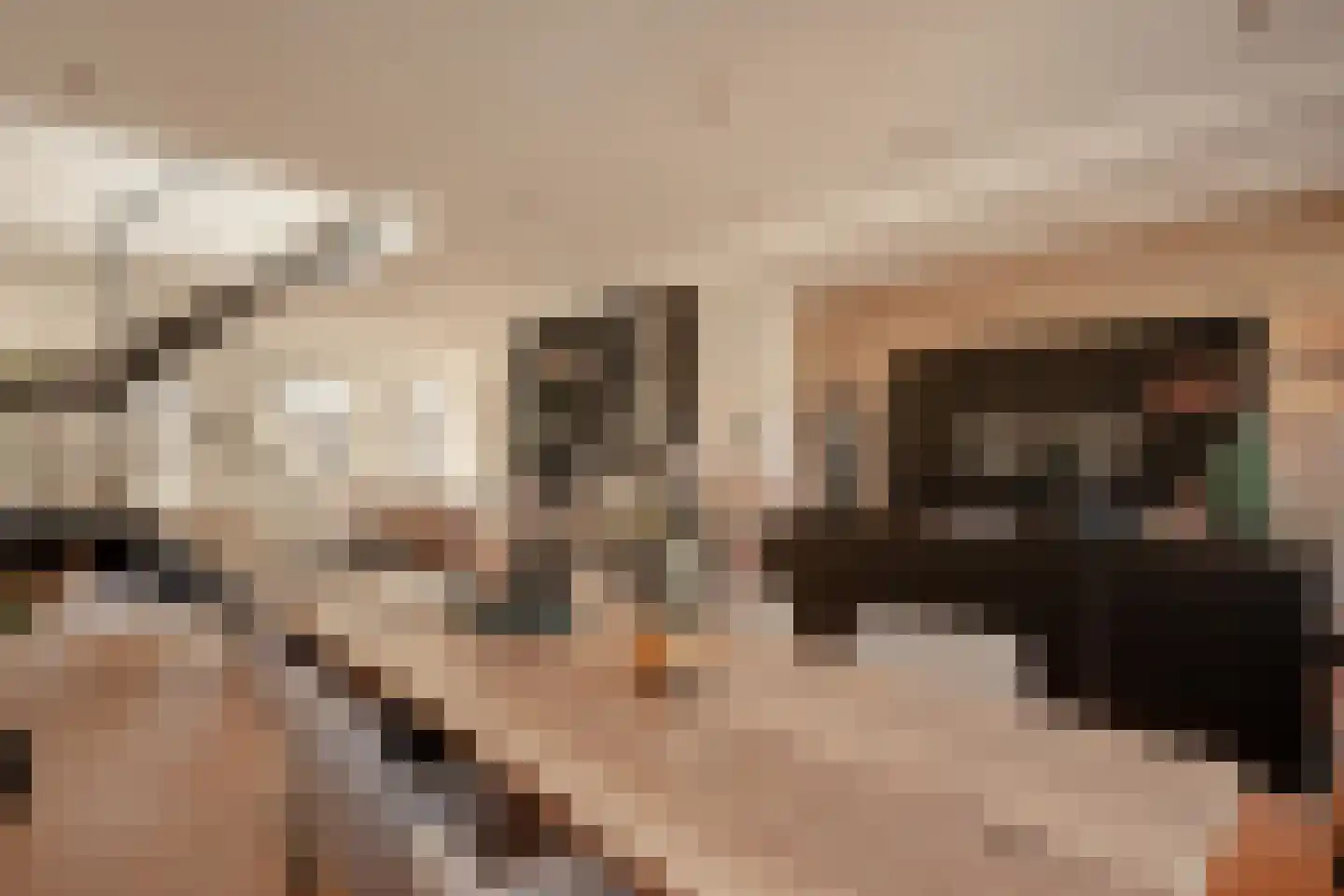 Koninginneweg 225 3 Amsterdam thumbnail 11