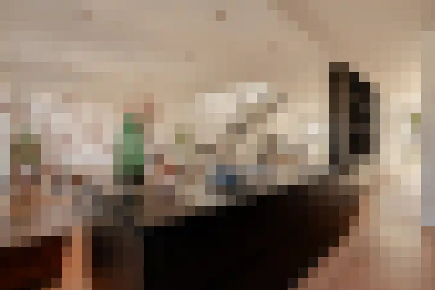 Koninginneweg 225 3 Amsterdam thumbnail 15