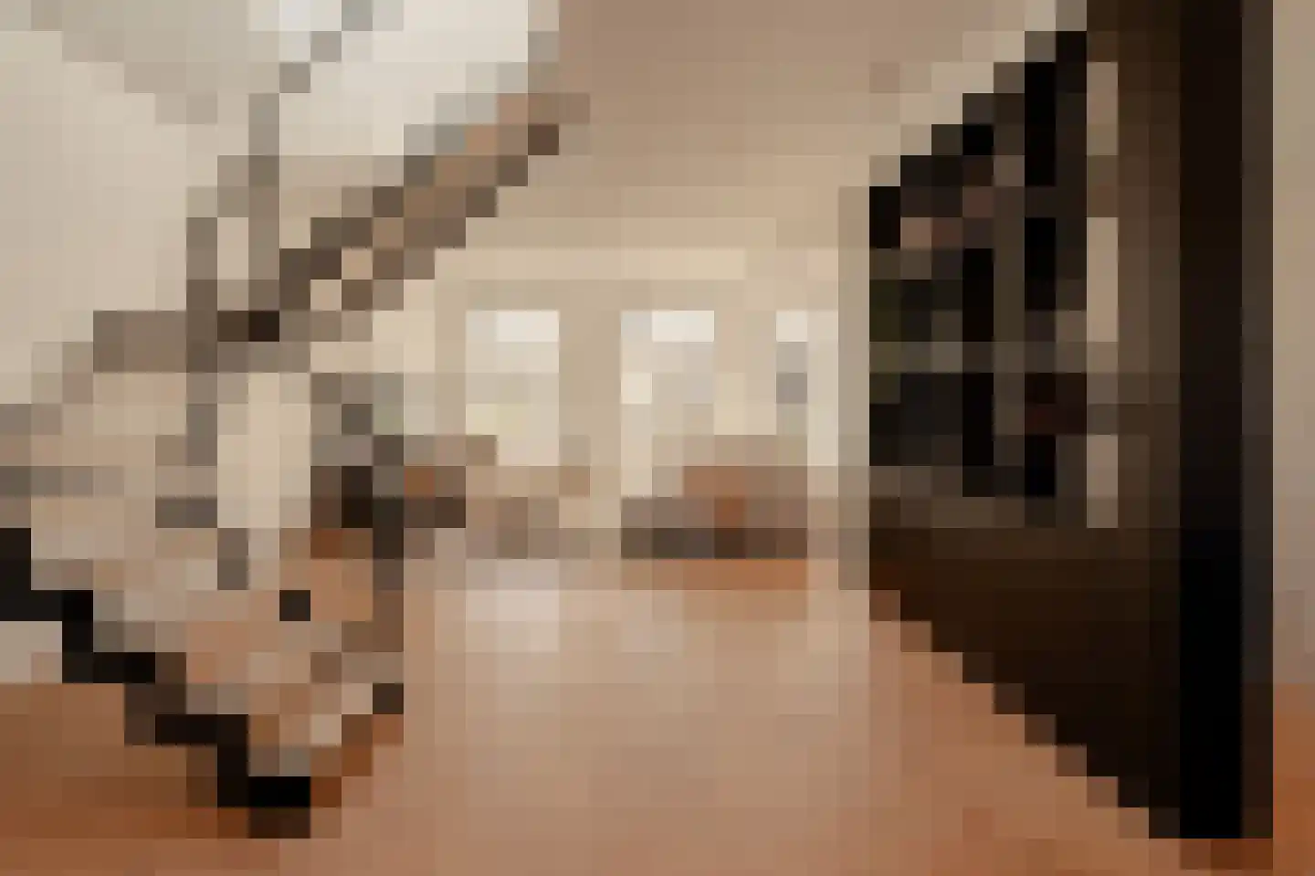 Koninginneweg 225 3 Amsterdam thumbnail 18