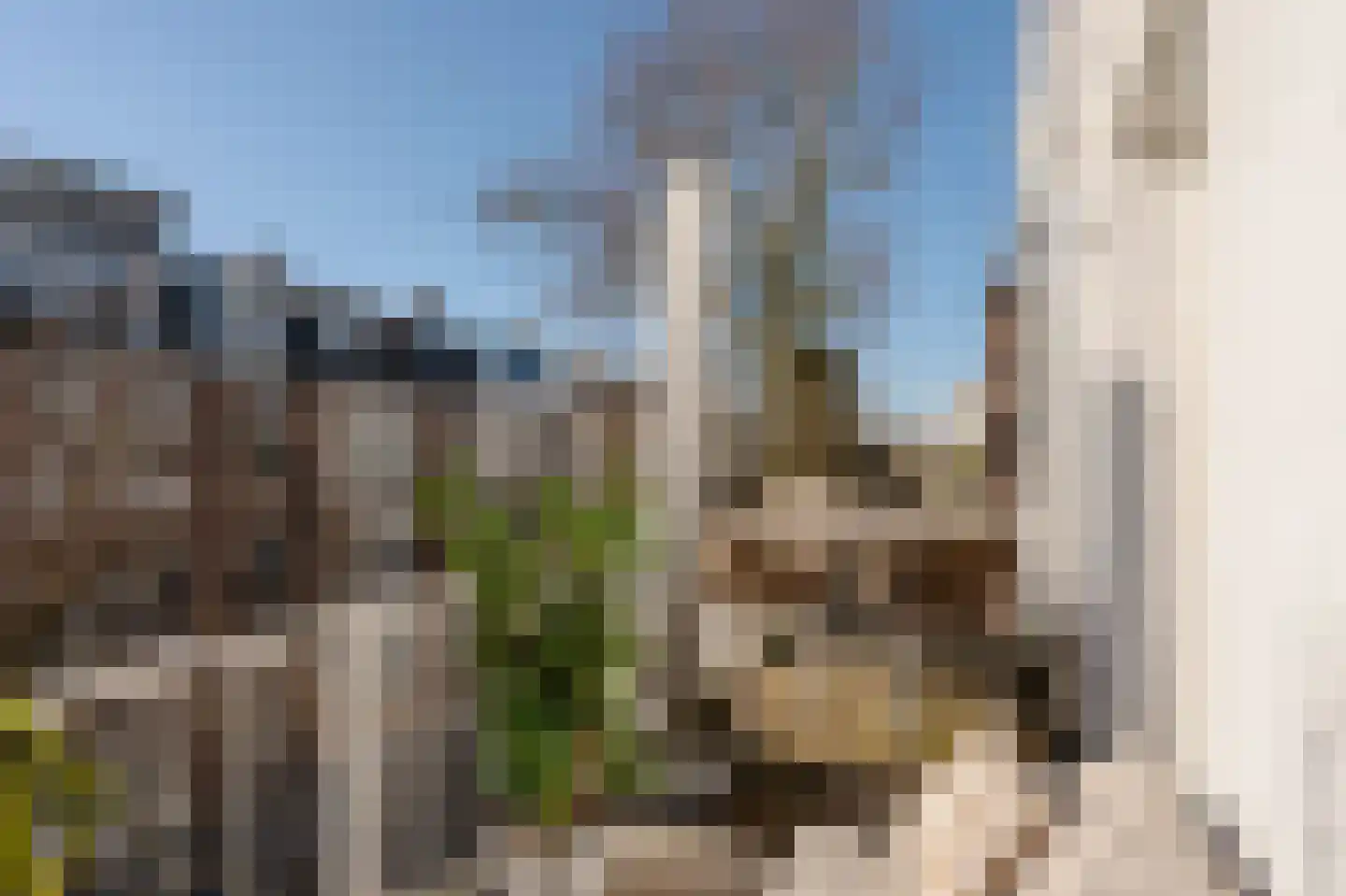 Koninginneweg 225 3 Amsterdam thumbnail 20