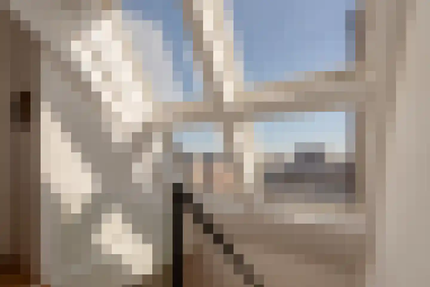 Koninginneweg 225 3 Amsterdam thumbnail 29
