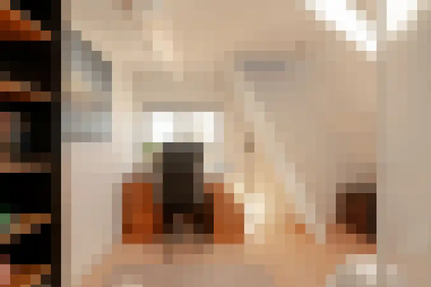 Koninginneweg 225 3 Amsterdam thumbnail 38
