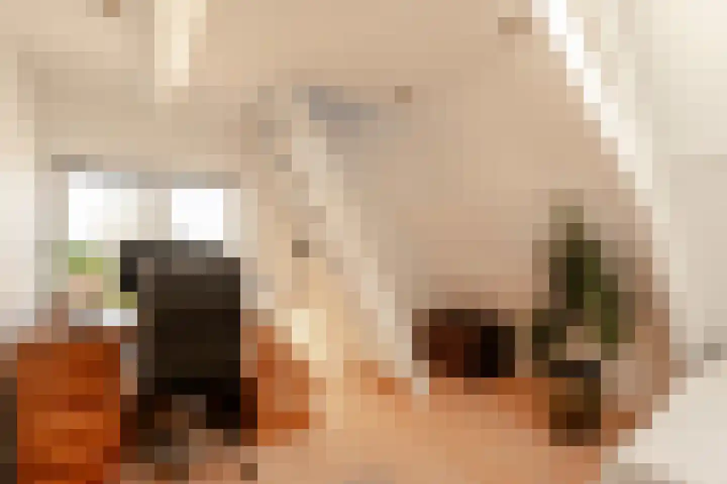 Koninginneweg 225 3 Amsterdam thumbnail 39