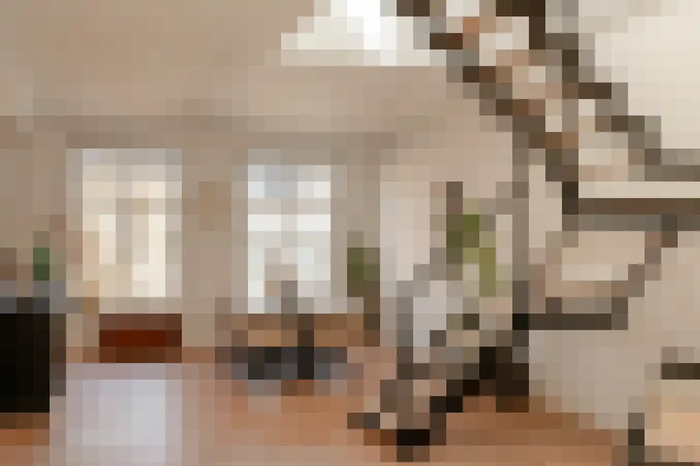 Koninginneweg 225 3 Amsterdam thumbnail 8