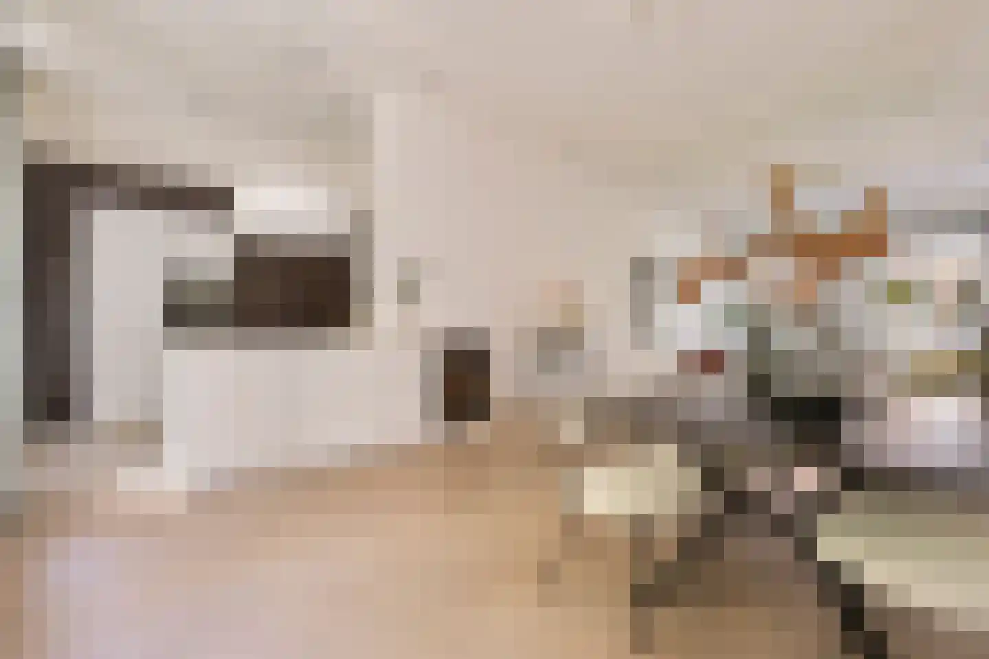 Koninginneweg 225 H Amsterdam thumbnail 14