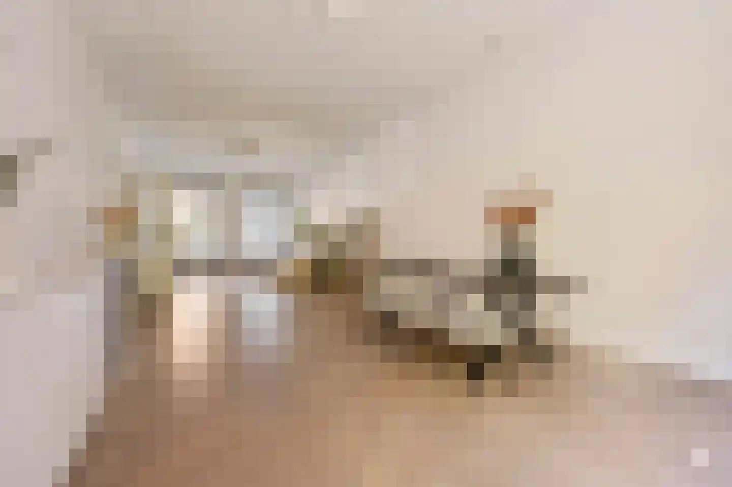 Koninginneweg 225 H Amsterdam thumbnail 15