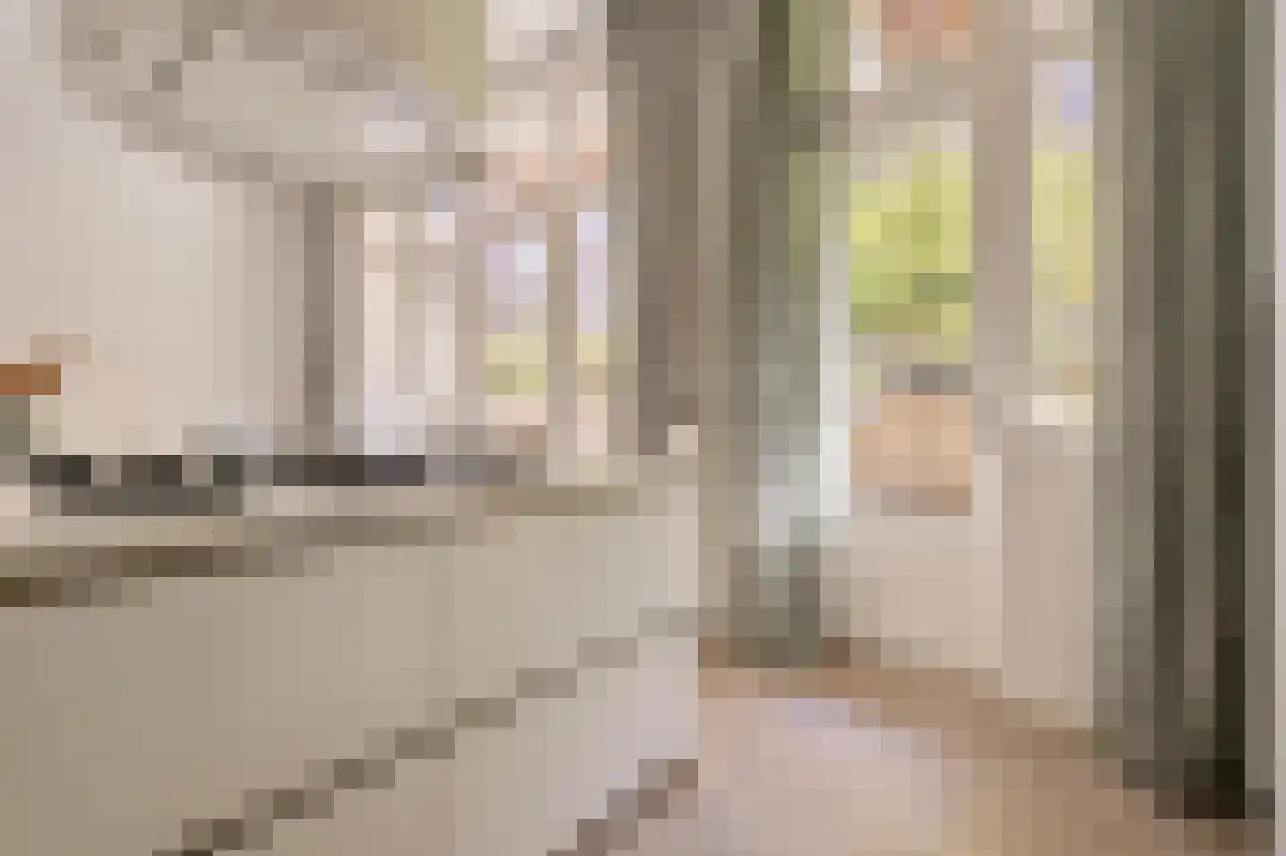 Koninginneweg 225 H Amsterdam thumbnail 19