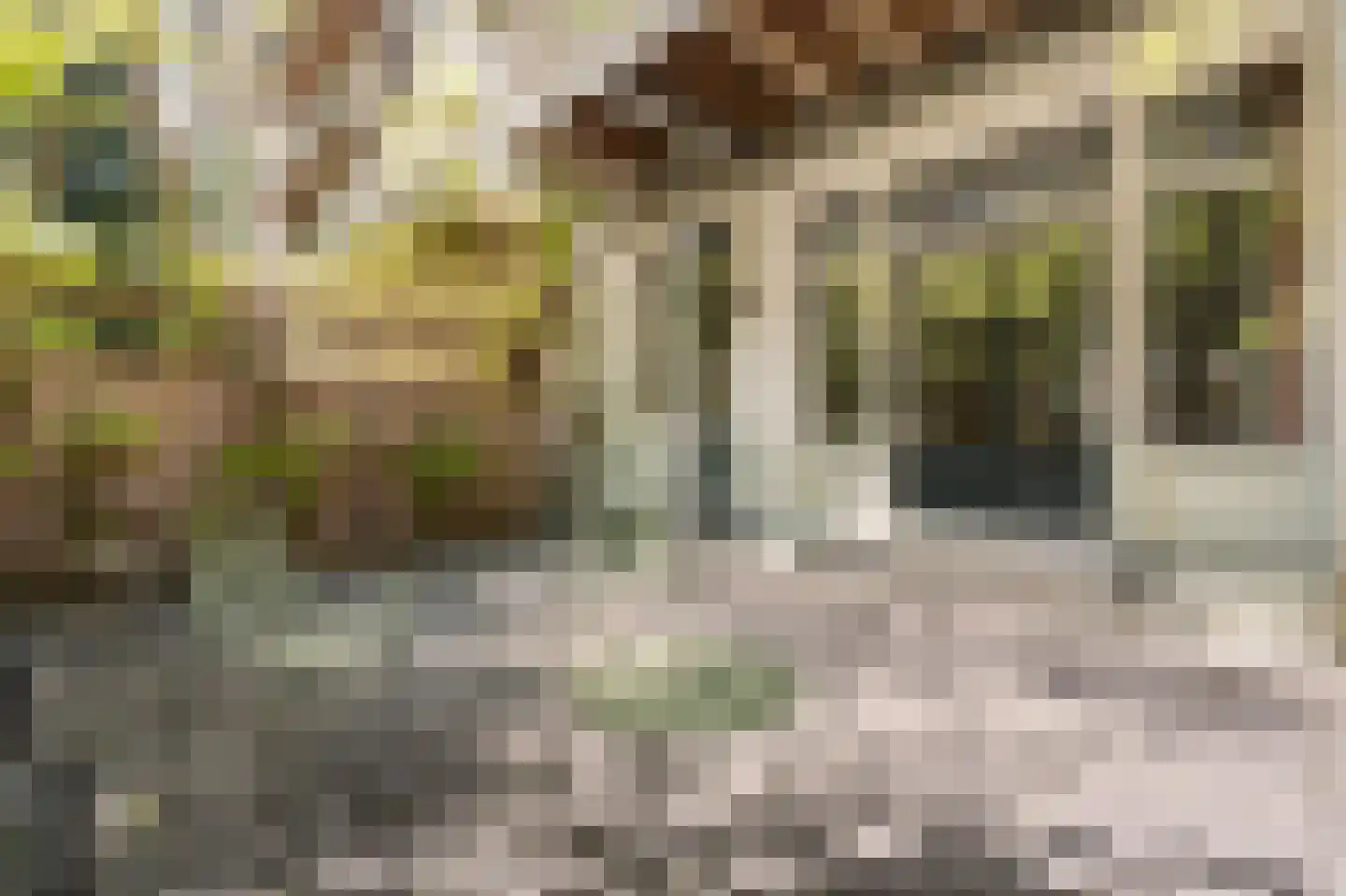 Koninginneweg 225 H Amsterdam thumbnail 21
