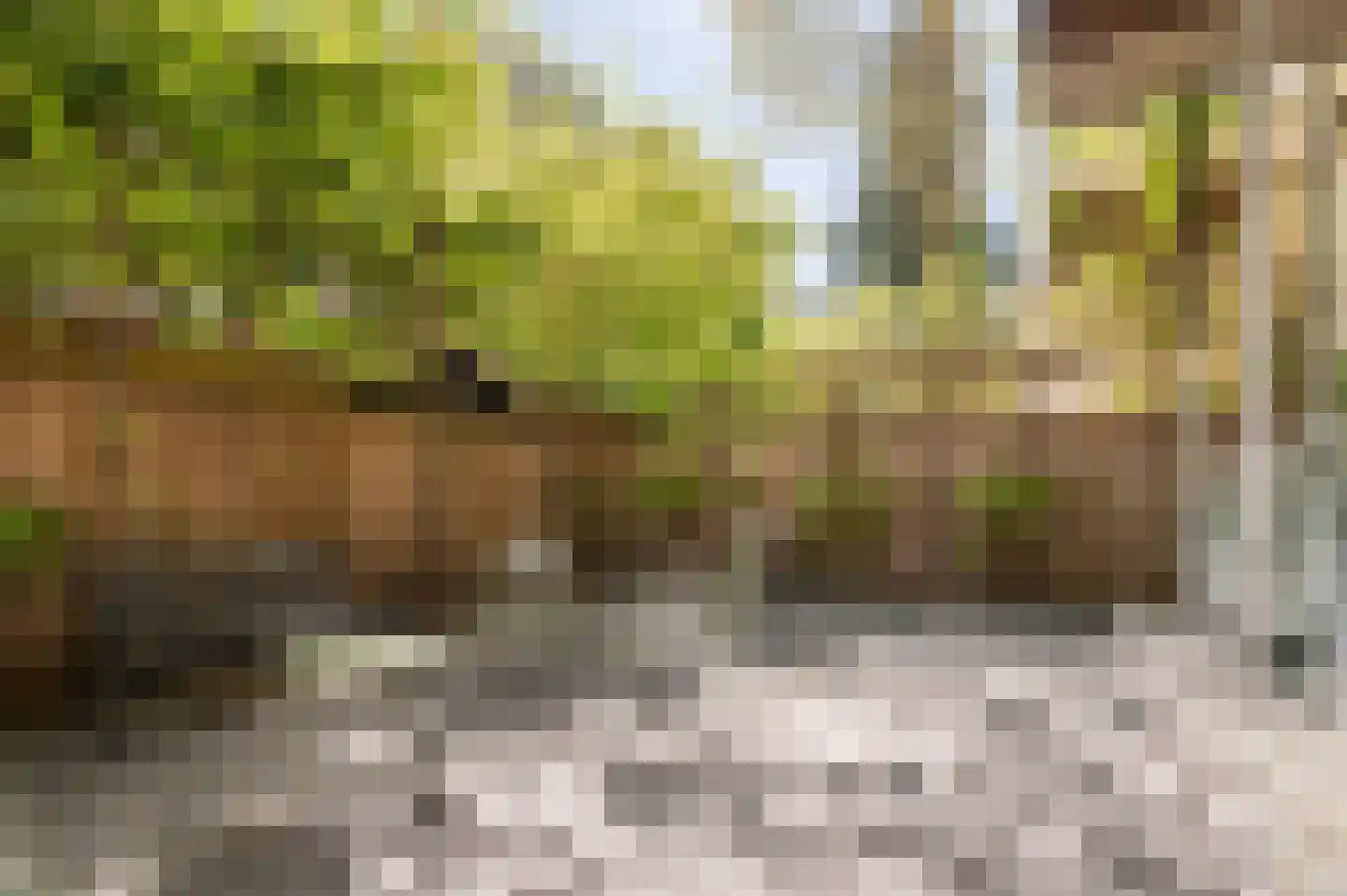 Koninginneweg 225 H Amsterdam thumbnail 22