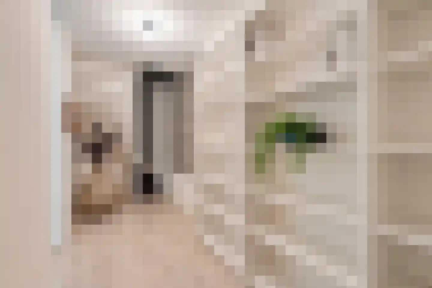 Koninginneweg 225 H Amsterdam thumbnail 24