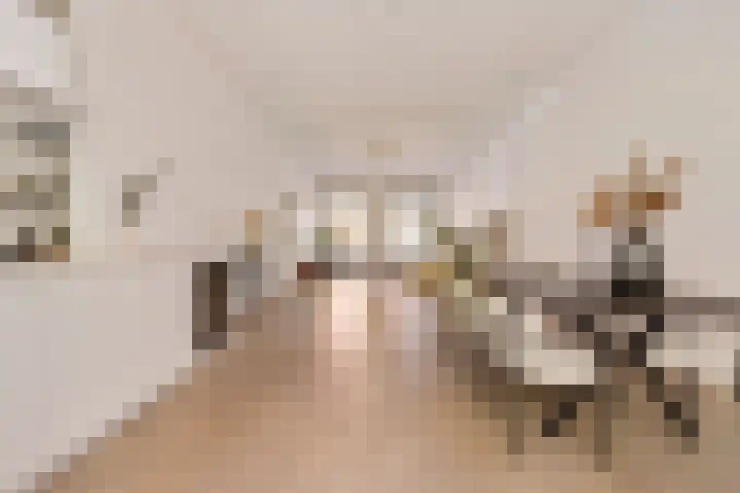 Koninginneweg 225 H Amsterdam thumbnail 6