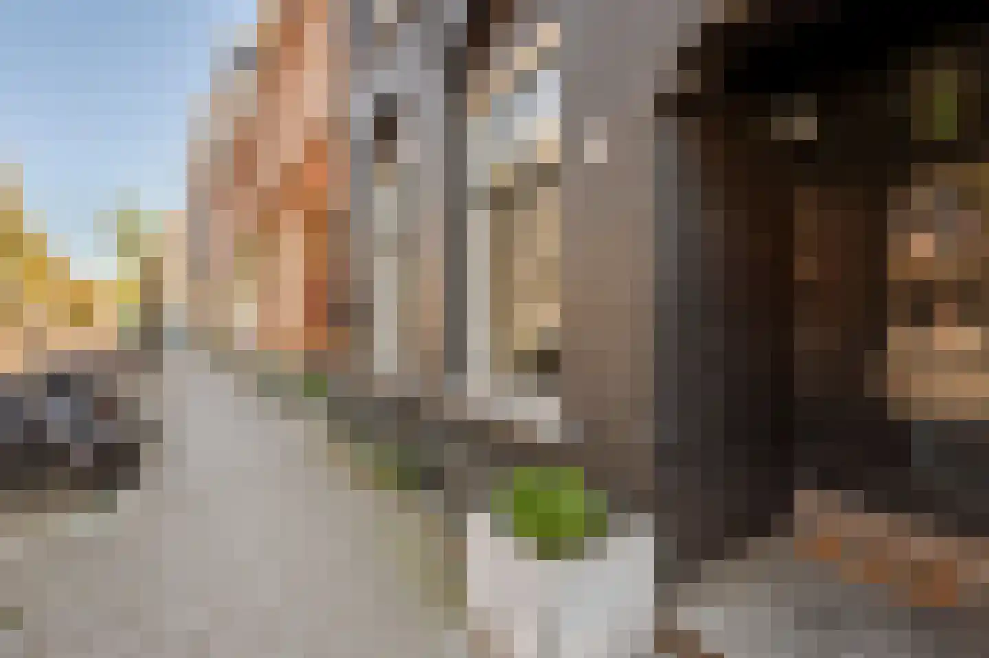 Koninginneweg 225 H Amsterdam thumbnail 61