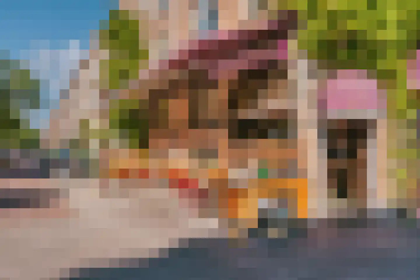Koninginneweg 225 H Amsterdam thumbnail 64