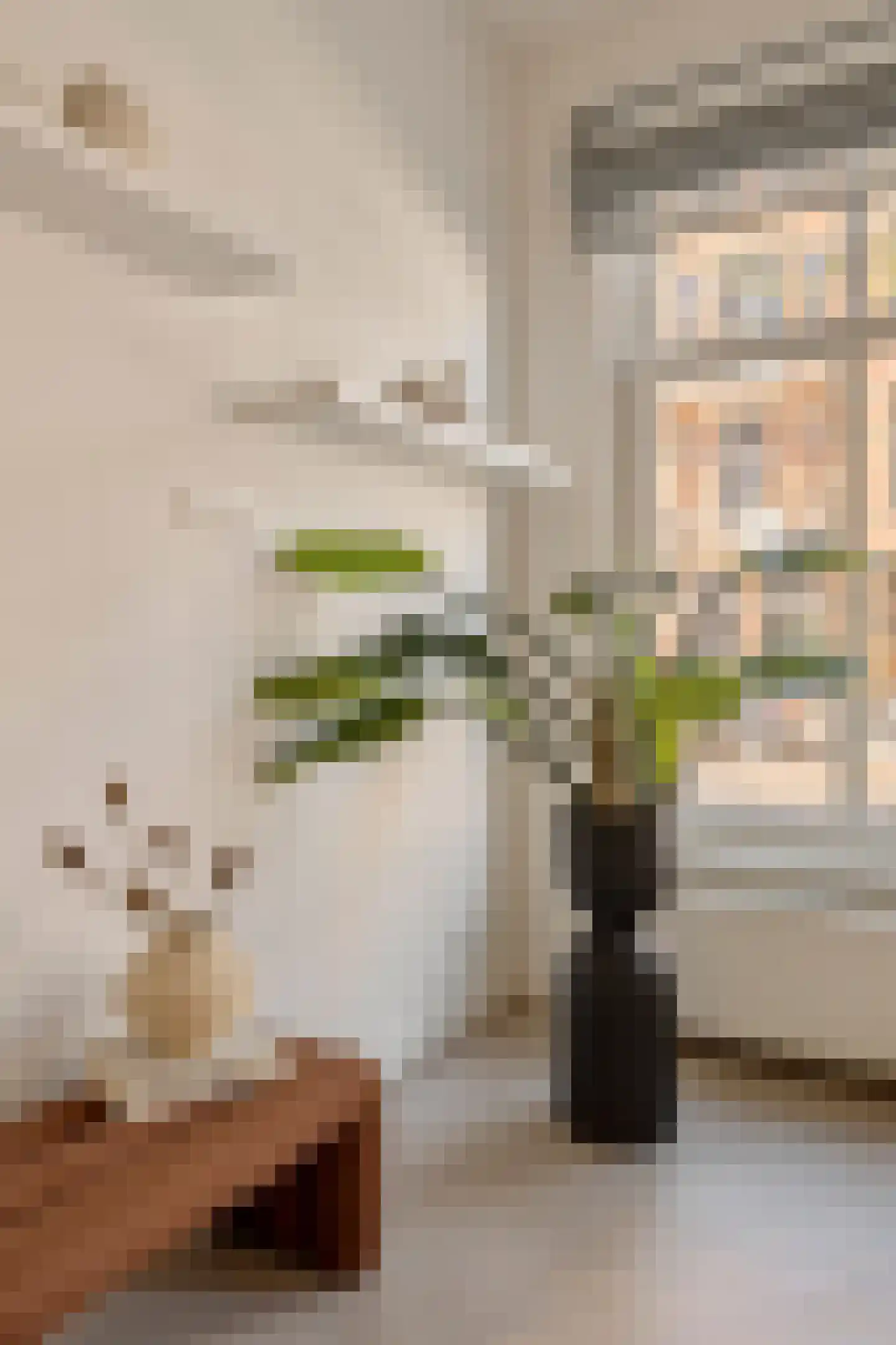 Koninginneweg 225 H Amsterdam thumbnail 8