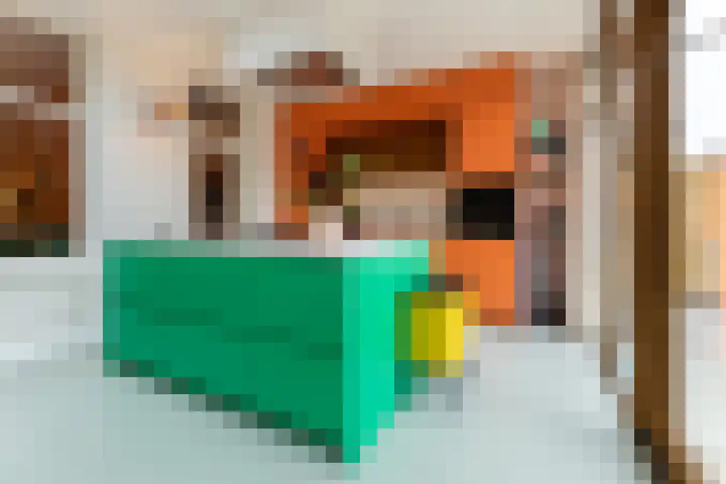 Koninginneweg 23 Rotterdam thumbnail 14