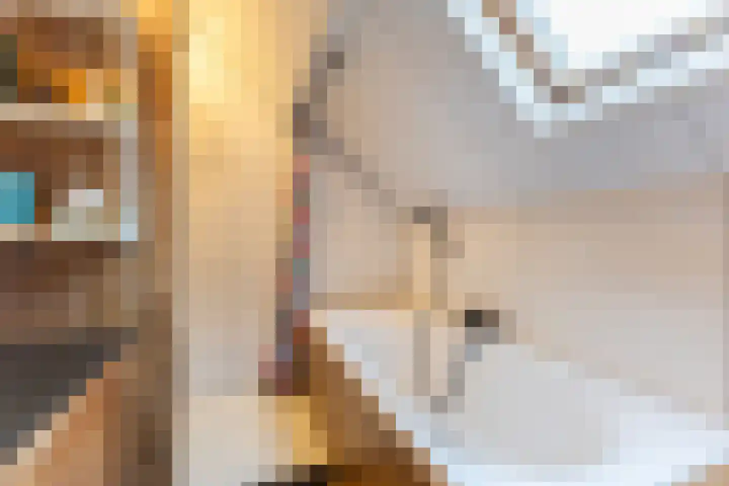 Koninginneweg 23 Rotterdam thumbnail 32