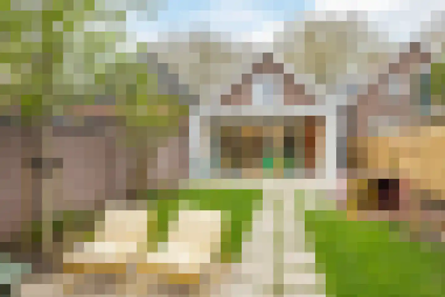 Koninginneweg 23 Rotterdam thumbnail 33