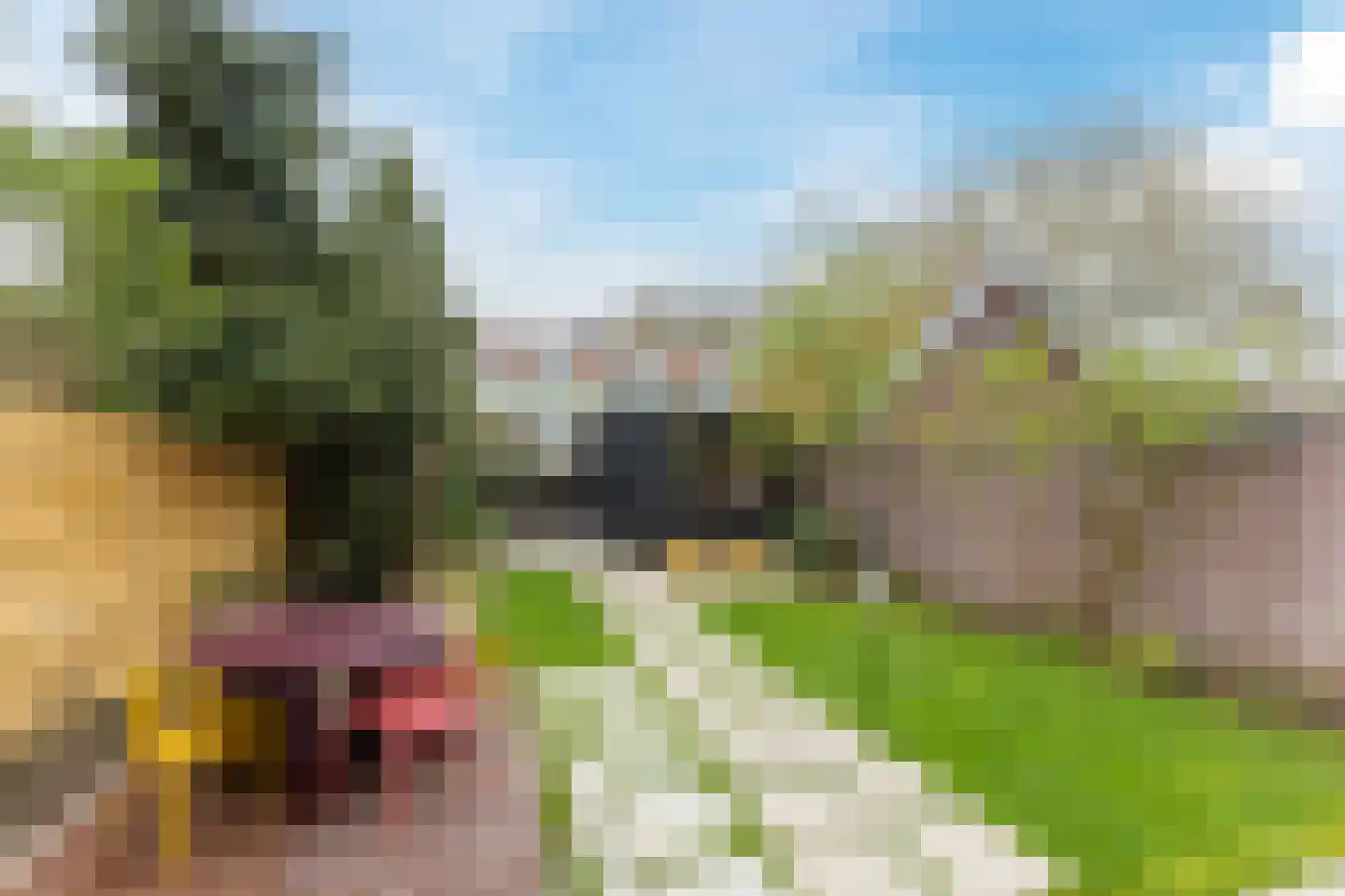 Koninginneweg 23 Rotterdam thumbnail 34
