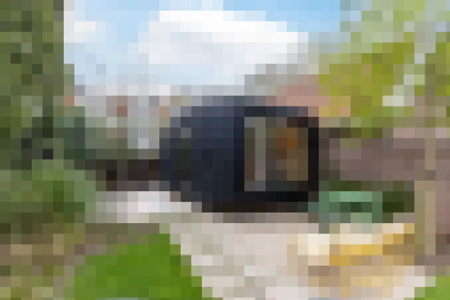 Koninginneweg 23 Rotterdam thumbnail 35