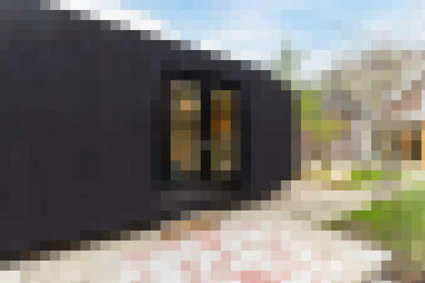 Koninginneweg 23 Rotterdam thumbnail 36