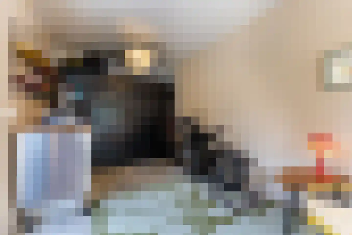 Koninginneweg 23 Rotterdam thumbnail 38