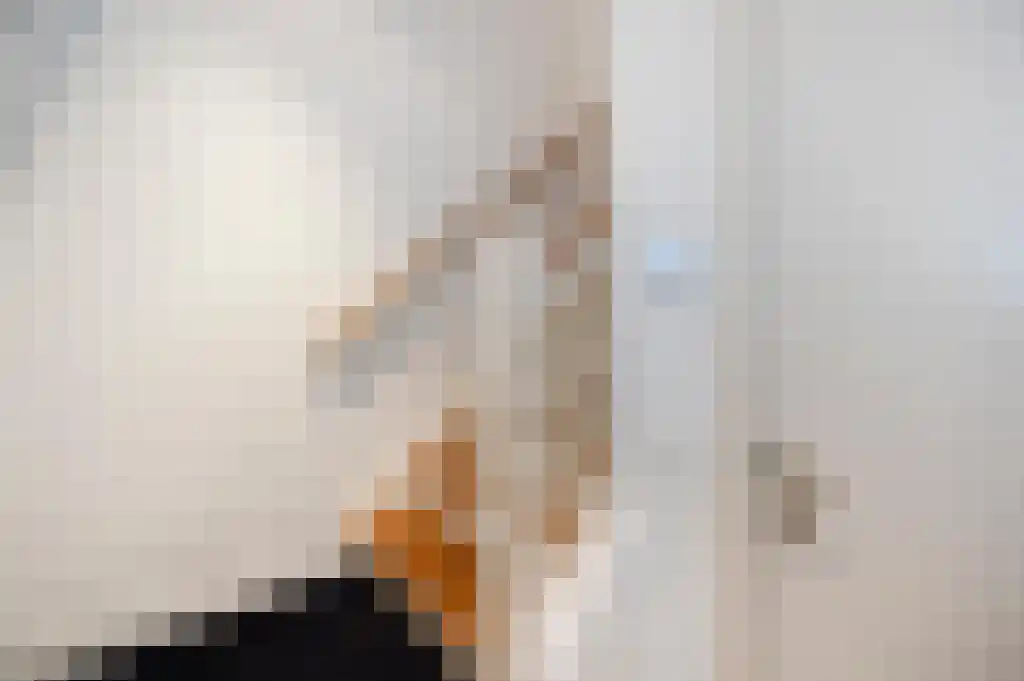 Koninginneweg 231 Amsterdam thumbnail 5