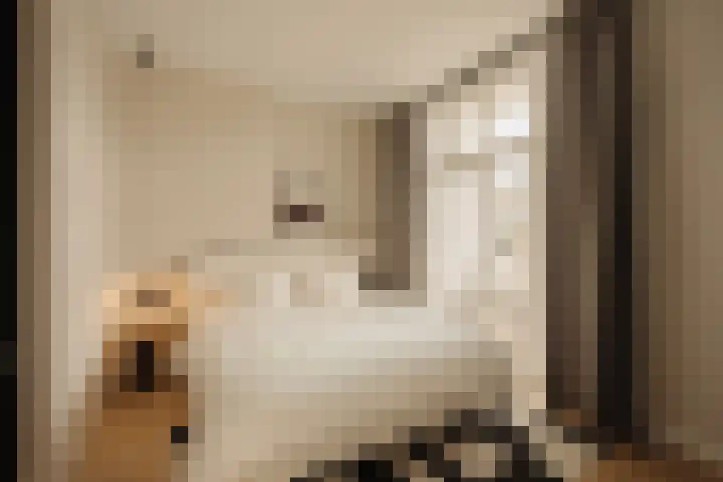 Koninginneweg 233 2 Amsterdam thumbnail 19