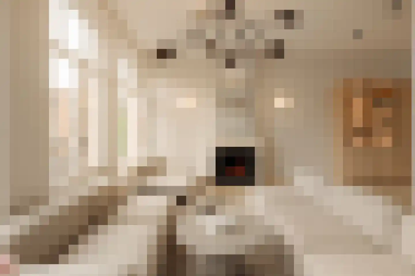 Koninginneweg 233 2 Amsterdam thumbnail 5