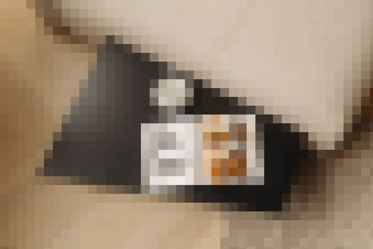 Koninginneweg 233 2 Amsterdam thumbnail 8