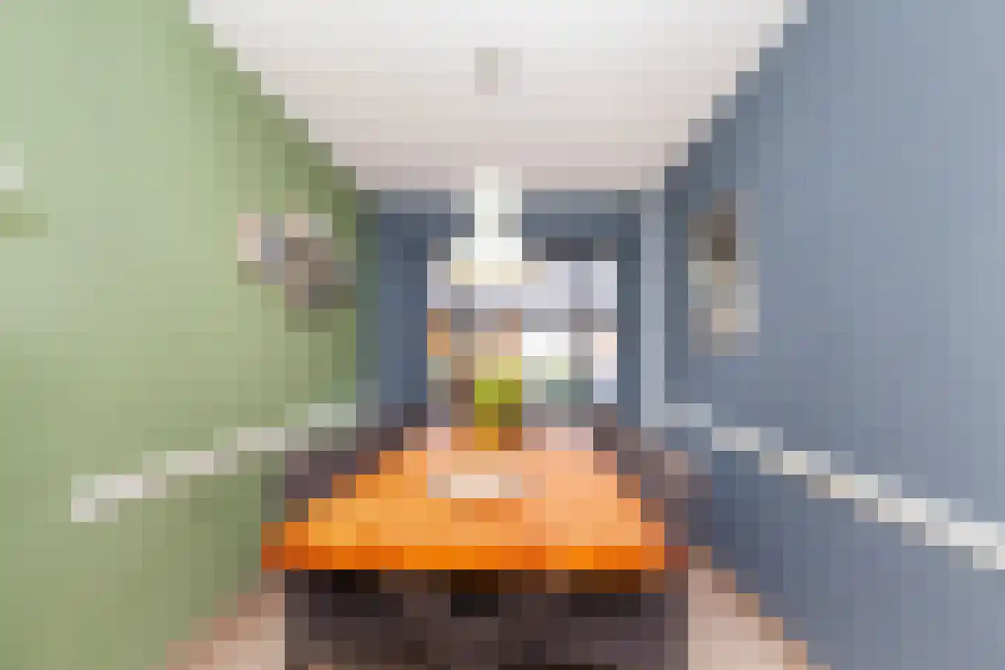 Koninginneweg 237 Rotterdam thumbnail 10